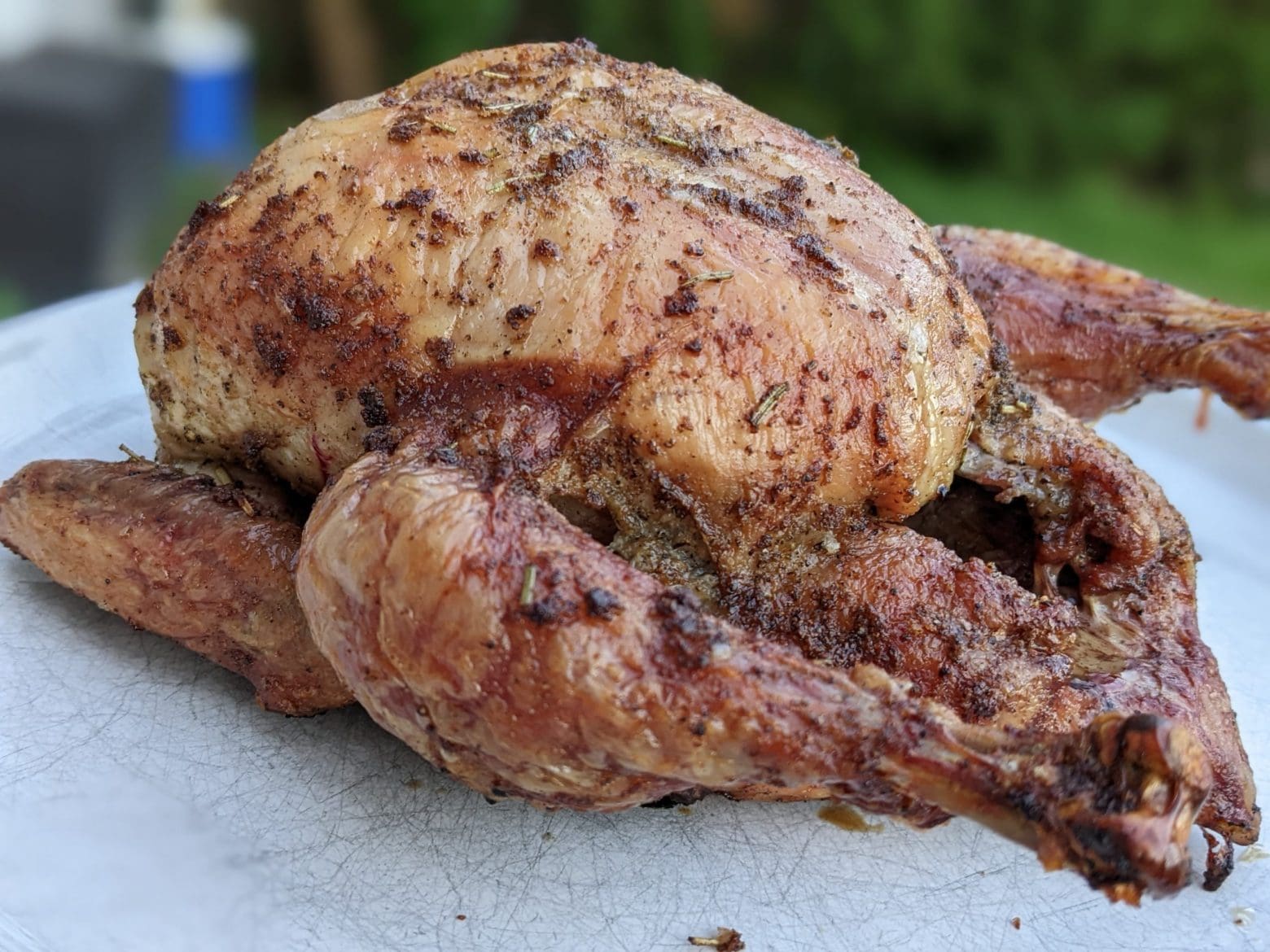 Roast-chicken-recipe-dry-brine-grill-to-perfection-hero-image 2 Roast-chicken-recipe-dry-brine-grill-to-perfection-hero-image 2
