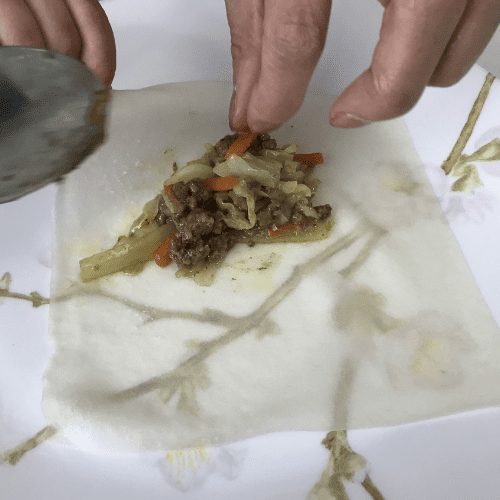 nutrafarms-spring-rolls-filling nutrafarms-spring-rolls-filling
